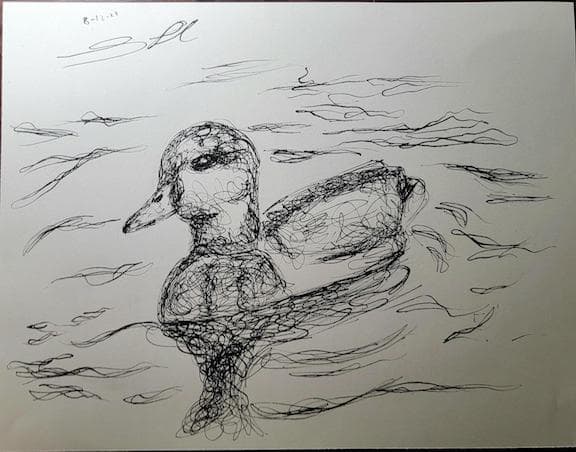 Duck Skecth